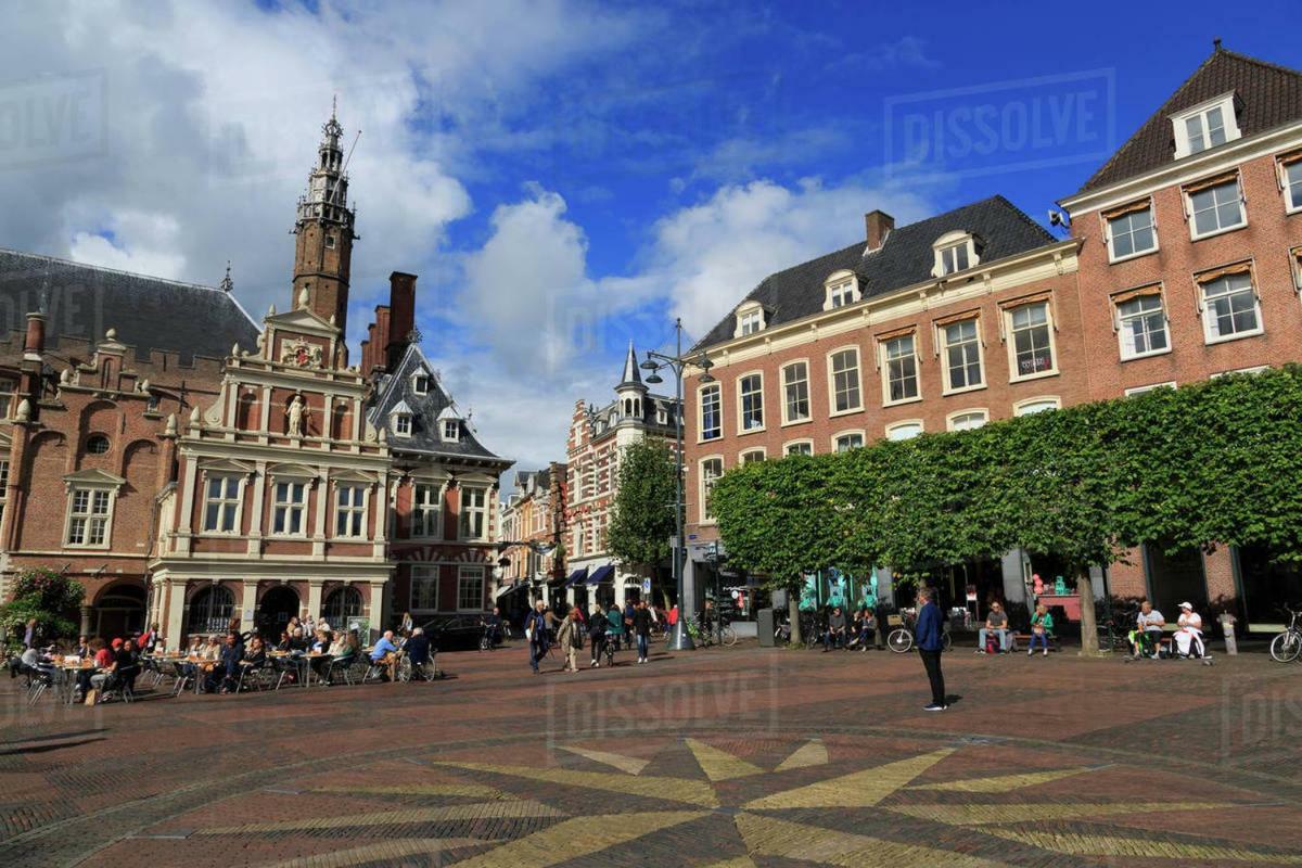 Feels Like Home Haarlem Extérieur photo