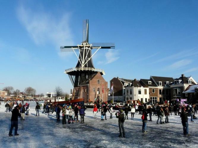 Feels Like Home Haarlem Extérieur photo